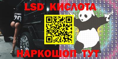 МДПВ Кингисепп