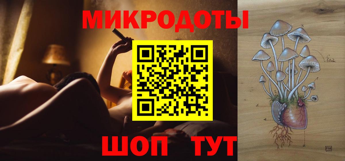 Галлюциногенные грибы Psilocybine cubensis  Вход с VPN  Красноуфимск 